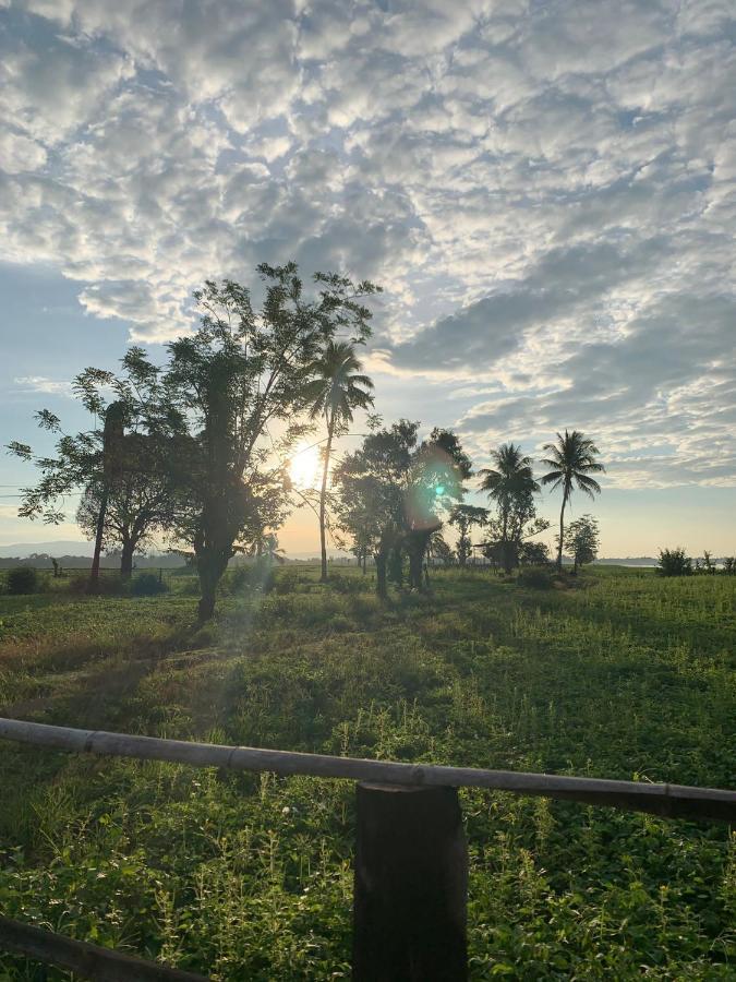 Vera Sunset Homestay Local Experience With Lao Family Muang Không Dış mekan fotoğraf